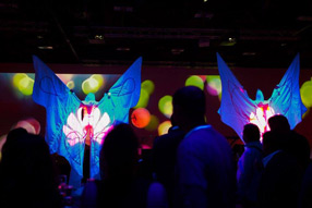 image uv led show