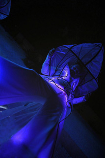 image uv led show
