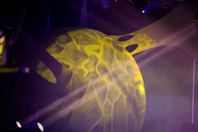 image uv led show