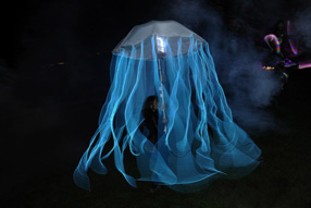 image uv led show