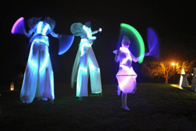 image uv led show