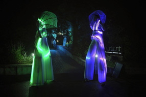 image uv led show