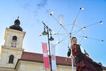 fire show thumbnail image