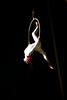 fire show thumbnail image