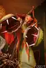 Teatro de Fuego y Sombras - Fireter - 2025 - 115